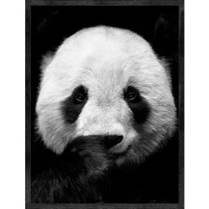 Exclusieve Aanbieding Art Print Panda ISC-011